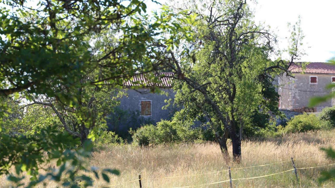 Willa Casa Conte Istria Kanfanar Zewnętrze zdjęcie