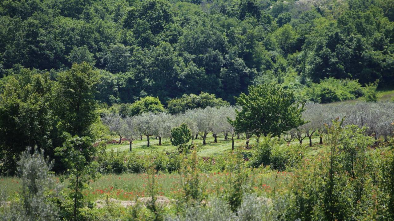 Willa Casa Conte Istria Kanfanar Zewnętrze zdjęcie