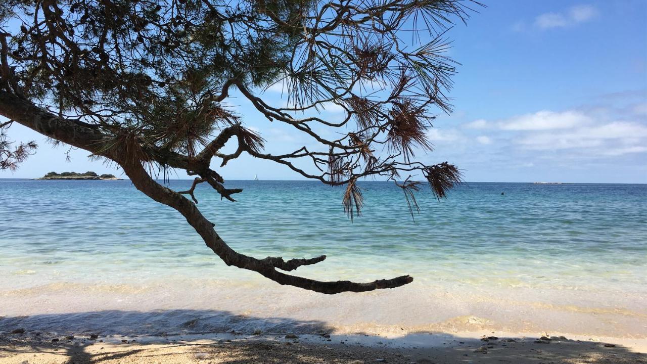 Willa Casa Conte Istria Kanfanar Zewnętrze zdjęcie